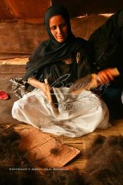 Image du Maroc Professionnelle de  Une femme du désert prépare le fil de laine de chameau sous une tente durant le grand Moussem, Samedi 18 septembre 2004, aux environ de Tan Tan dans un site désertique sur lequel la ville, a toujours accueilli la majorité des tribus et des grandes familles nomades du désert lors d'un grand Moussem, danses chants, course de chameaux et fantasia font partie des festivités. (Photo / Abdeljalil Bounhar)